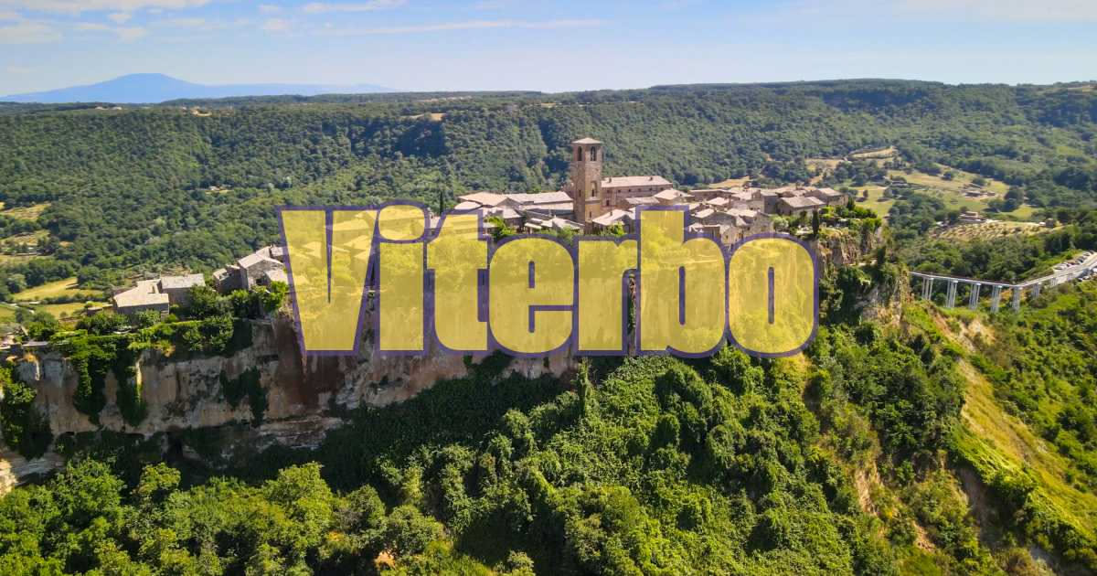 Fegato di vitello rosato in padella con sugo di pomodoro, cipolla e prezzemolo fresco su piatto bianco, bicchiere di vino rosso sullo sfondo