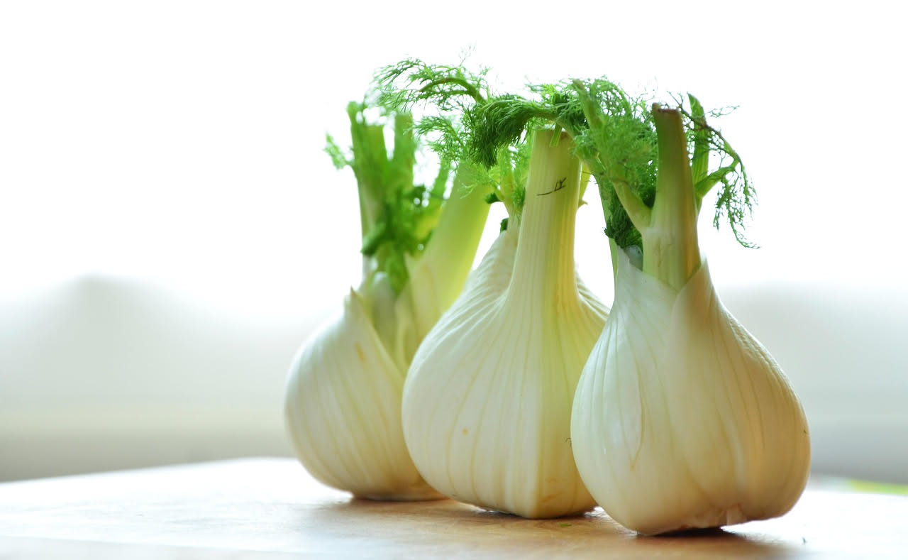 Finocchi gratinati in pirofila di ceramica bianca, doratura dorata croccante in superficie, vapore caldo appena sfornato
