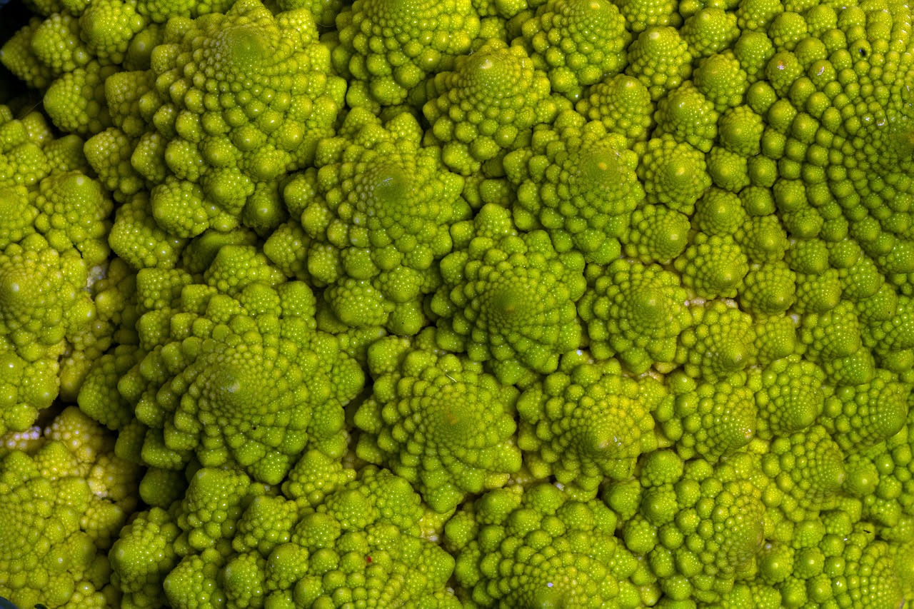 Piatto di fusilli bianchi ricoperti di broccoli verde scuro rosolati, con gocce d'olio lucido, pezzetti di aglio dorato e filamenti di peperoncino rosso, serviti in ciotola bianca