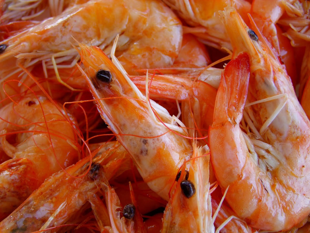Gamberi bolliti