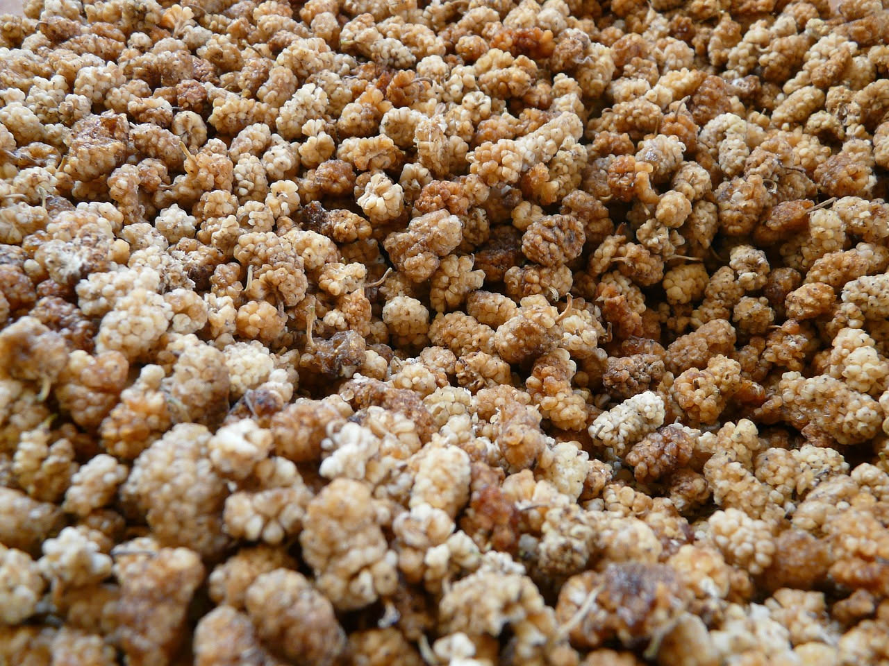 Granite di gelsi
