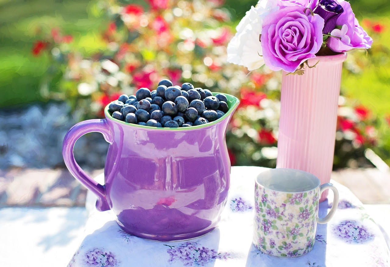 Infuso di mirtillo