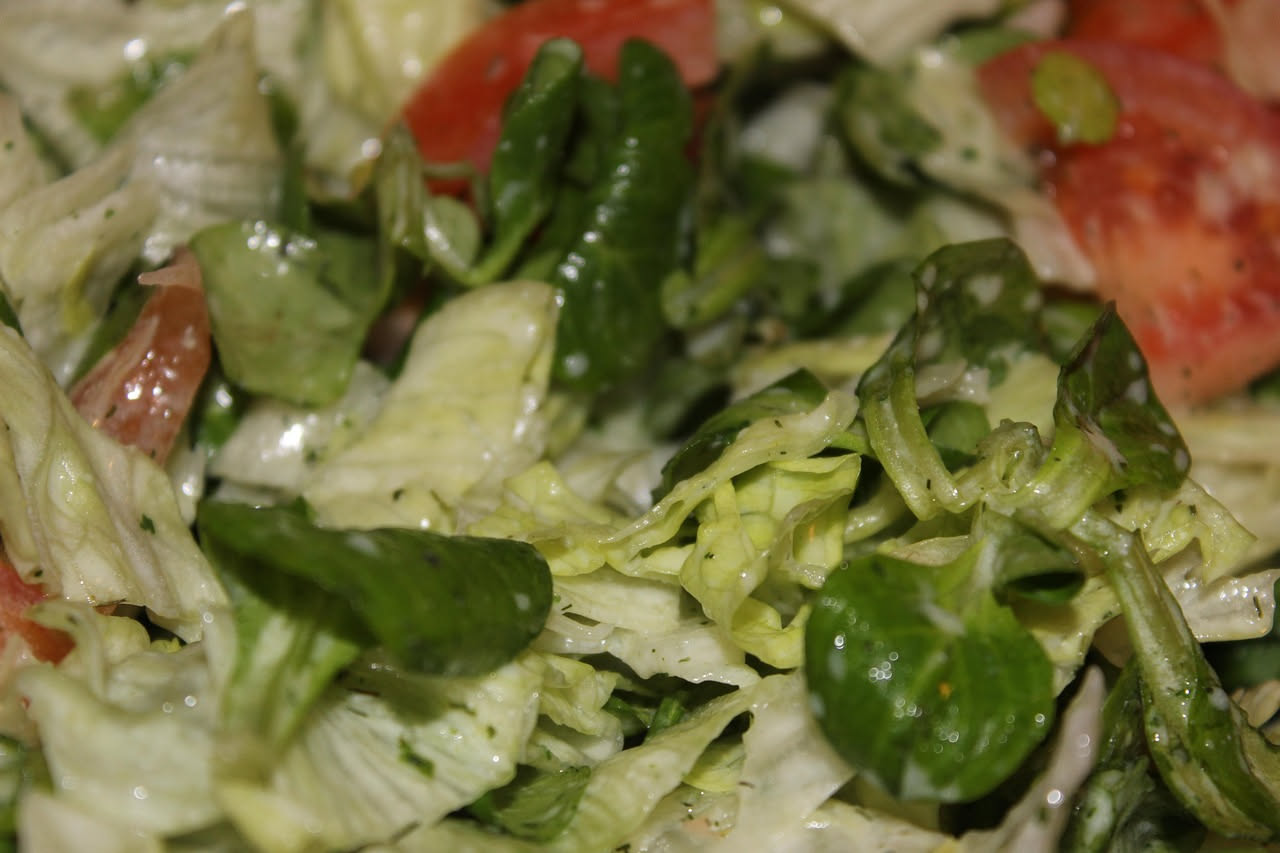 Insalata di scarola