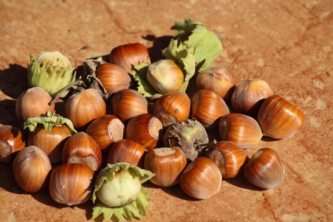 Liquore alle nocciole piemontesi