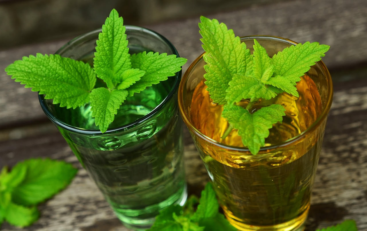 Liquore di Menta