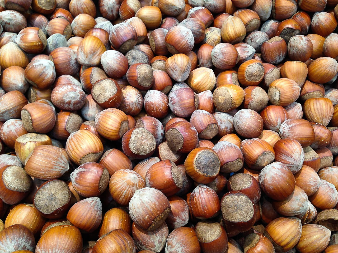 Liquore di Nocciola dell'Umbria