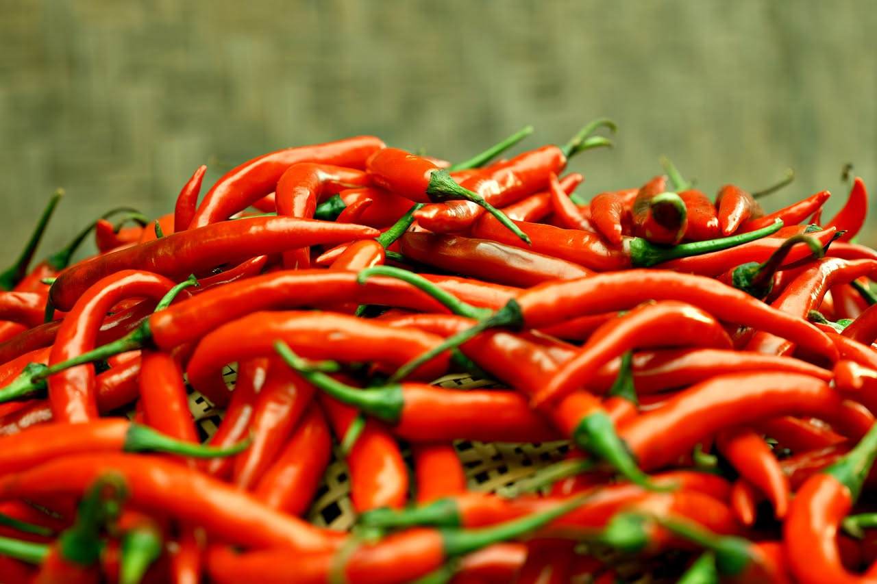 Liquore di peperoncino