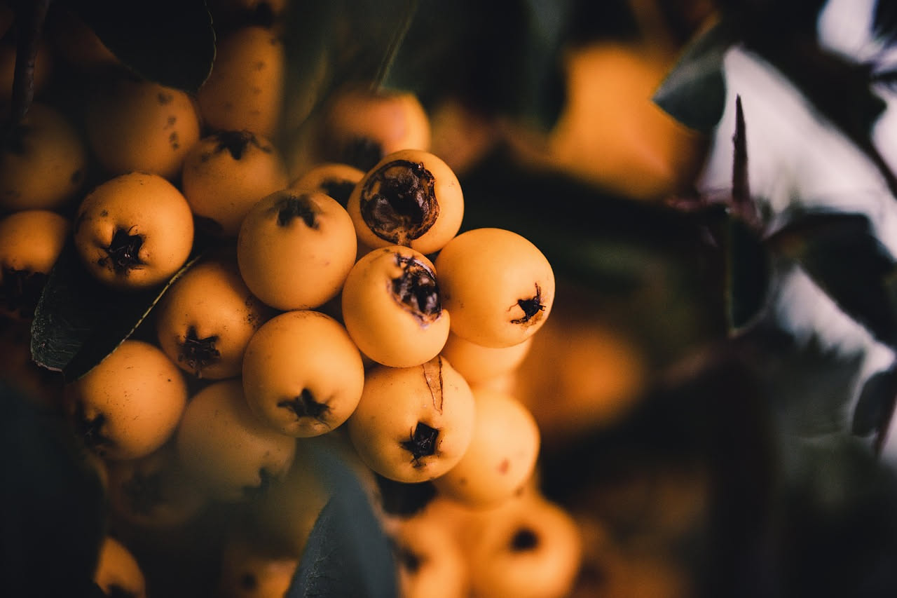 Marmellata di nespole