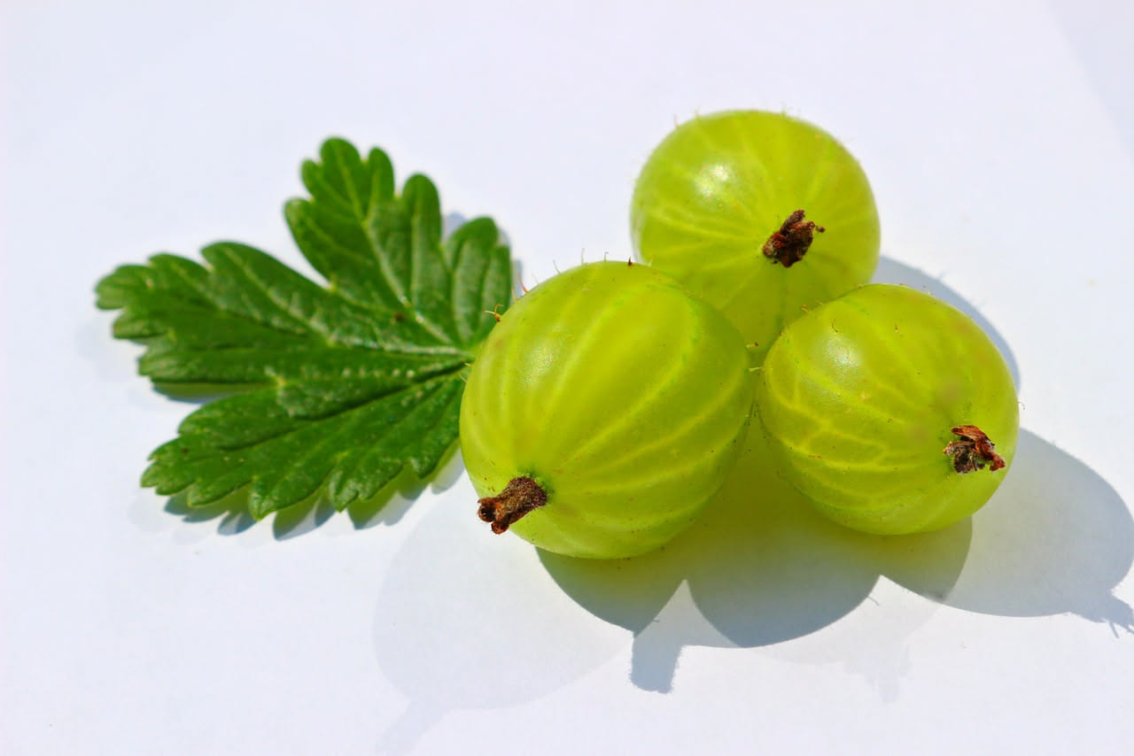Marmellata di uva spina