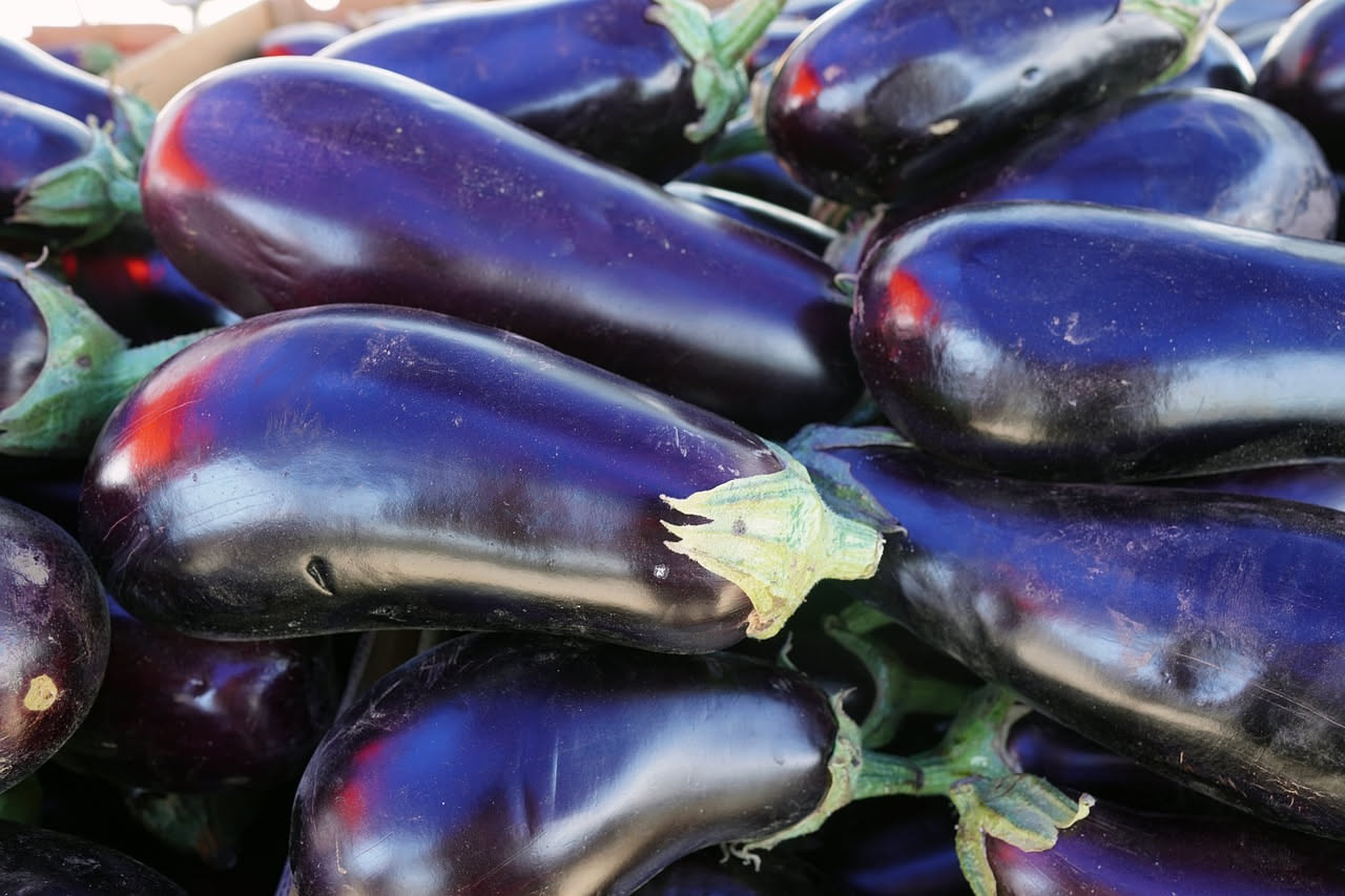 Melanzane alla norma