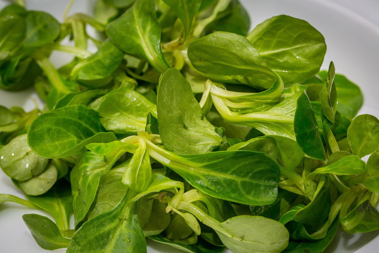 Minestra cremosa in ciotola bianca con erbe verdi variegate, riso integrale visibile, filo d'olio di oliva sulla superficie, cucchiaio di legno, sfondo bianco