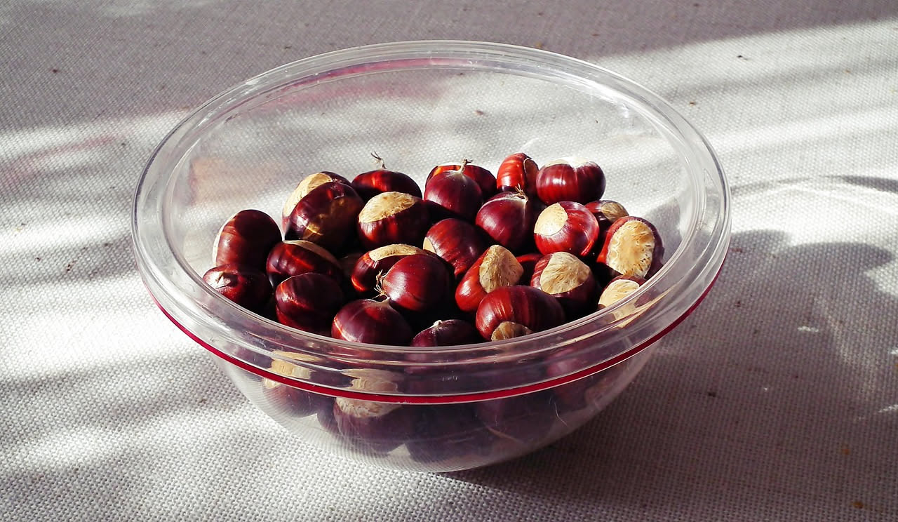 Minestra di castagne in ciotola di ceramica bianca, brodo dorato che affiora, pezzetti di castagne visibili in superficie, gambo di prezzemolo fresco sopra, cucchiaio di legno a lato