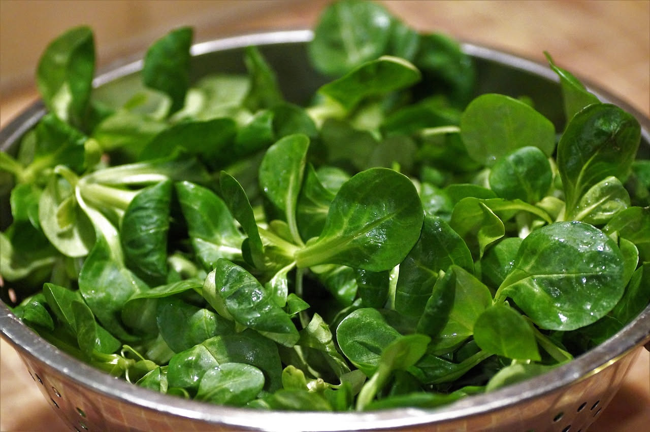 Minestra di erbe di campo in ciotola bianca, con frammenti di patate cremose, erbe verdi e amaranto, brodo trasparente ambrato, pane tostato sul bordo, tavolo in legno rustico