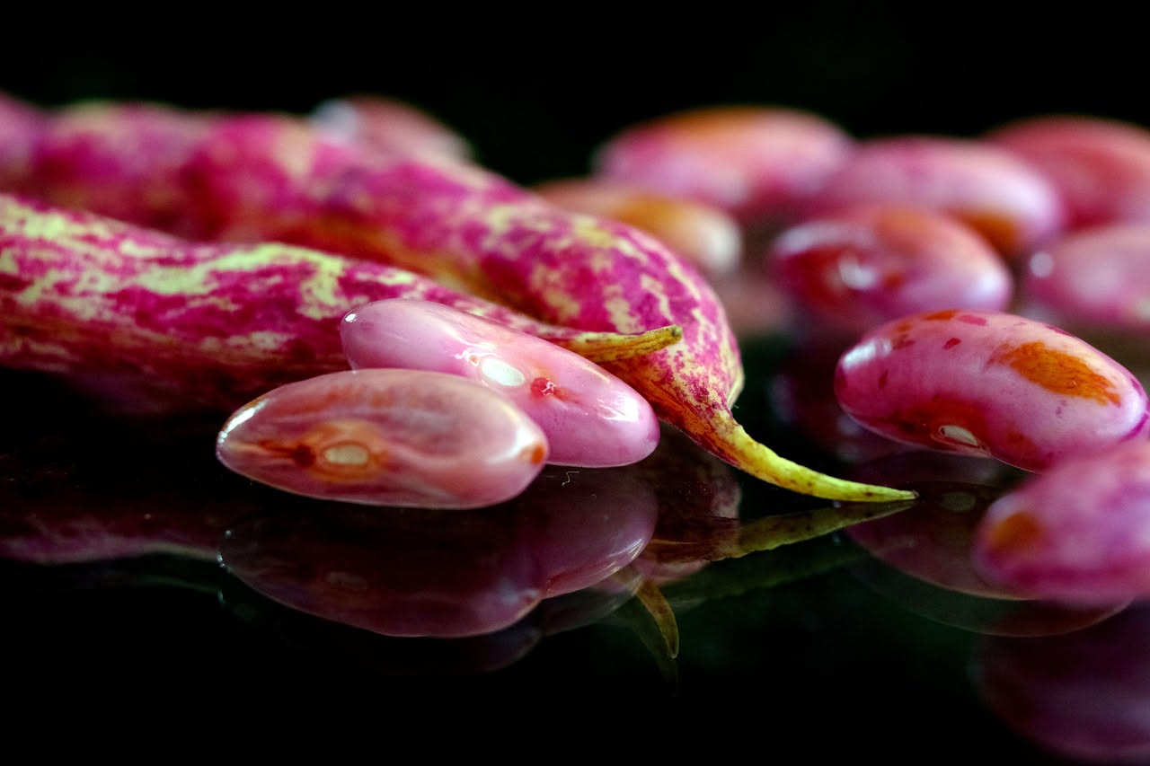Ciotola di minestra di fagioli borlotti cremosa, con fagioli screziati rossi e bianchi ben visibili nel brodo, cipolla e carota morbida, un filo d'olio extravergine in superficie, cucchiaio in ciotola