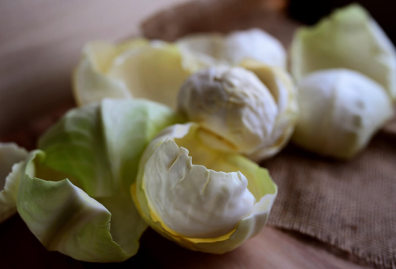 Minestra di riso e cavoli in una ciotola bianca, con chicchi di riso visibili nel brodo trasparente, cavoli verdi e bianchi tagliati in piccoli pezzi, vapore leggero che sale, contorno di pane tostato