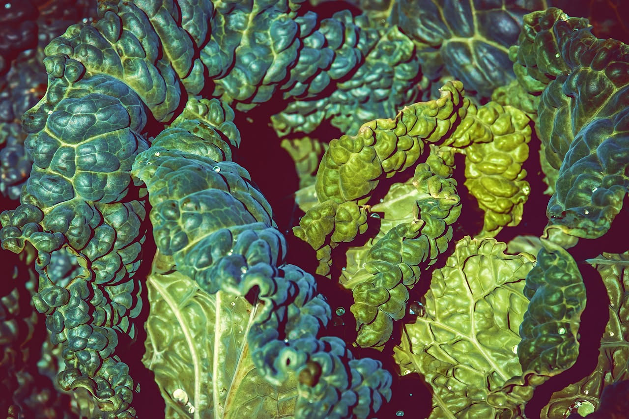 Minestra di riso e cavolo nero in una ciotola bianca fonda: brodo color ambra, chicchi di riso bianco visibili, foglie di cavolo nero scuro e morbide, una scia d'olio d'oliva in superficie, cucchiaio