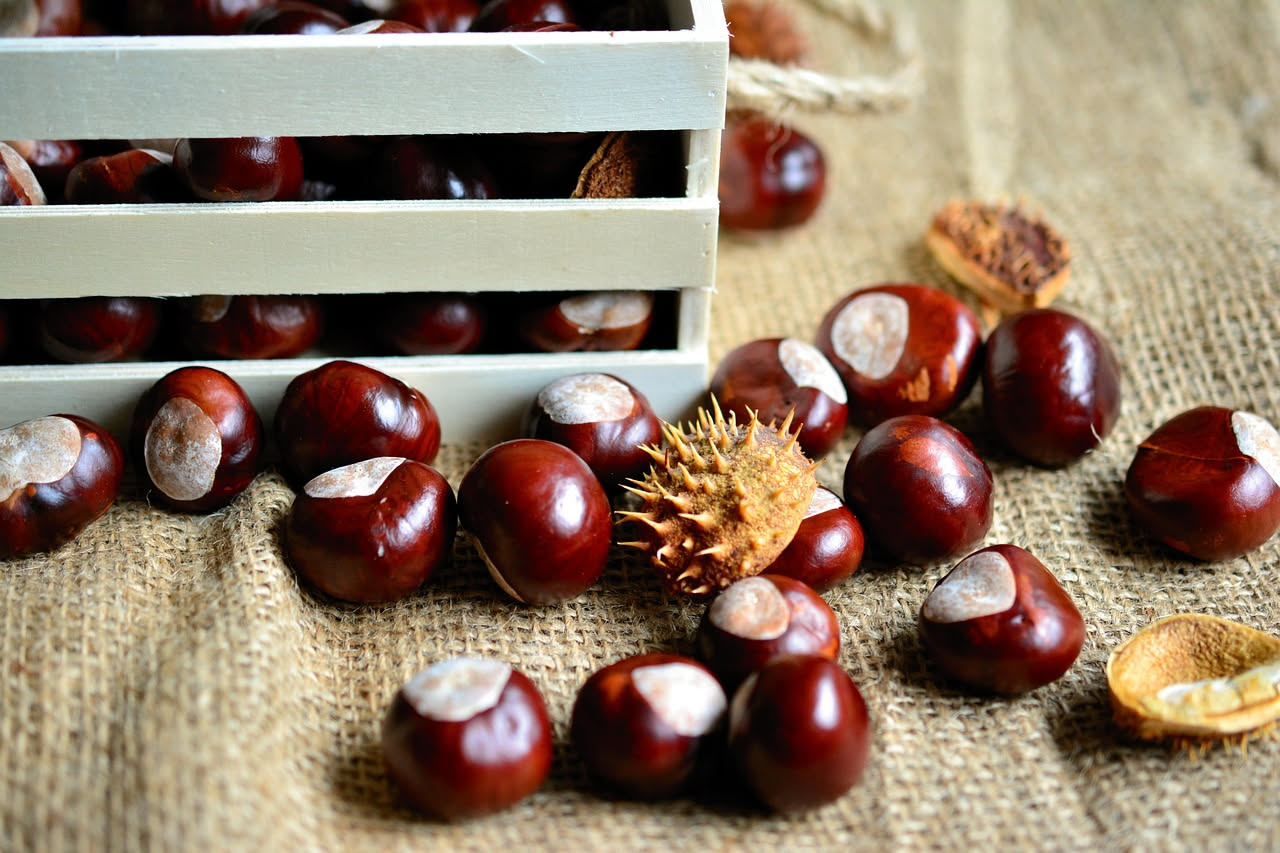 Minestra di riso e castagne