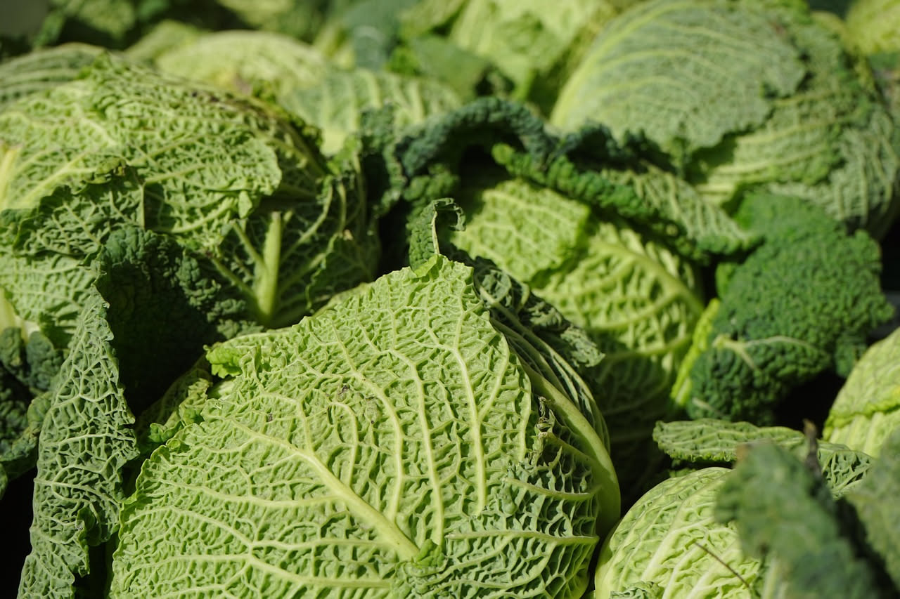 Minestra di verza e patate