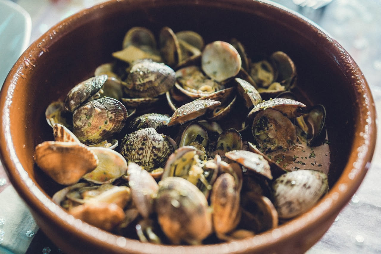 Moeche intere in umido in un piatto fondo bianco, coperte da salsa di pomodoro densa, con erbe aromatiche e una spruzzata di prezzemolo verde fresco.