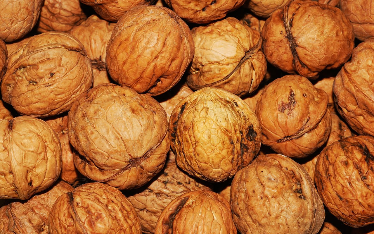 Noci conservate sott'olio