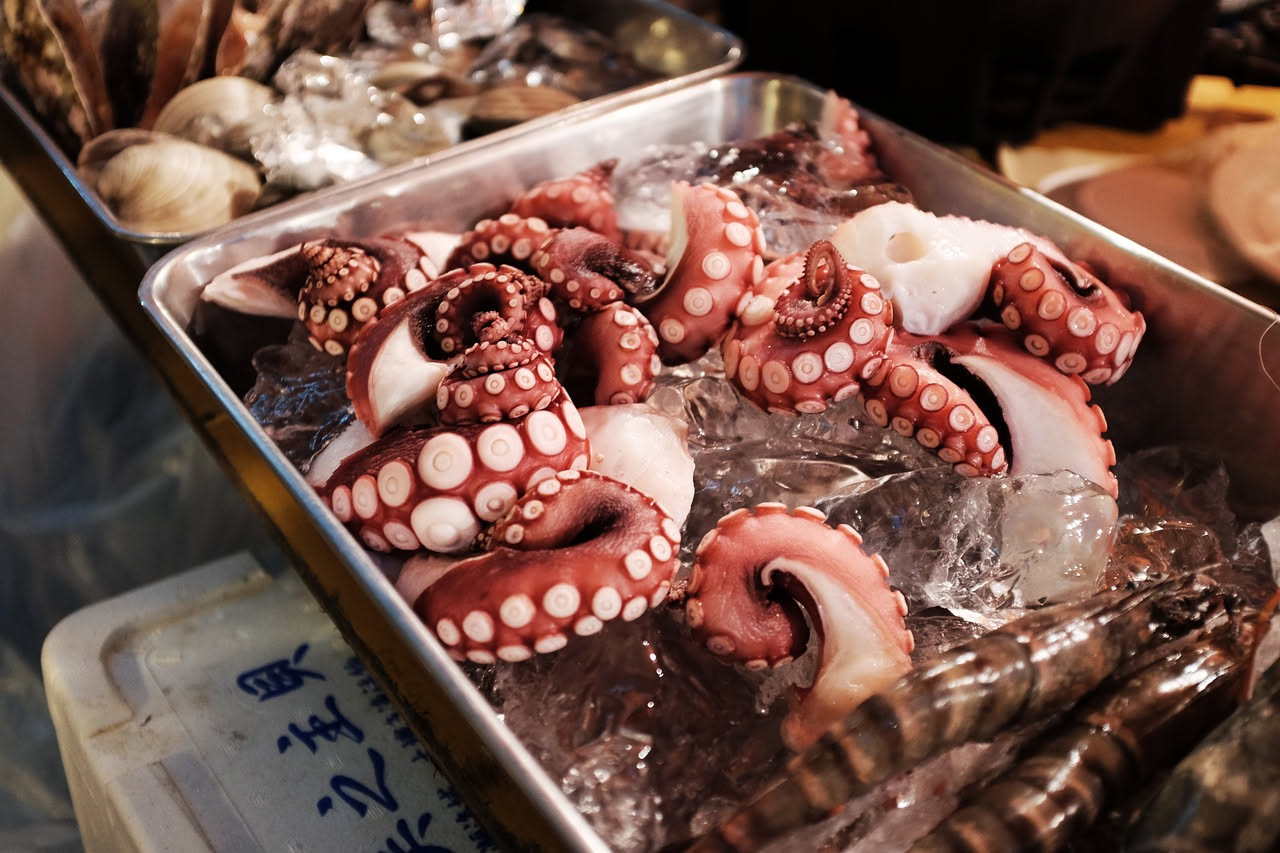Octopus bollito