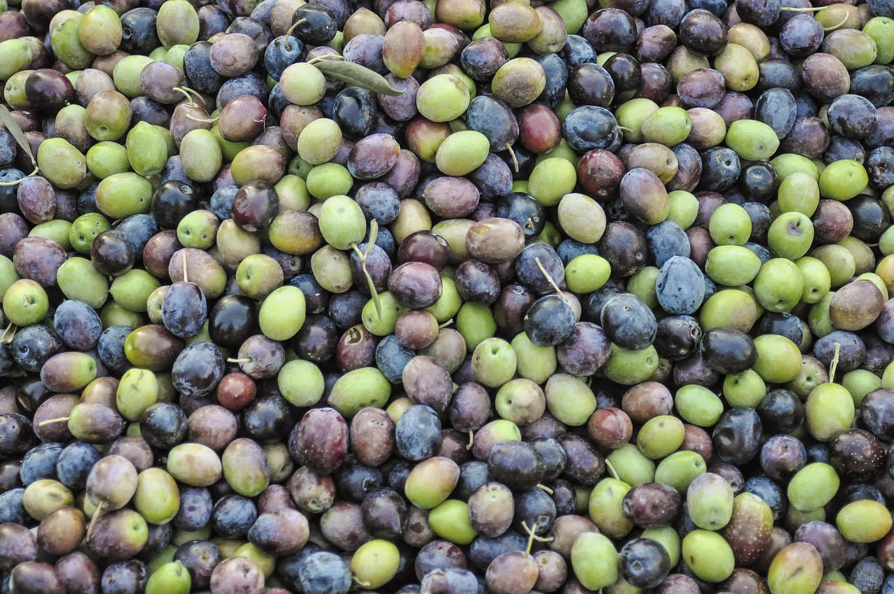 Olive verdi e nere sotto sale