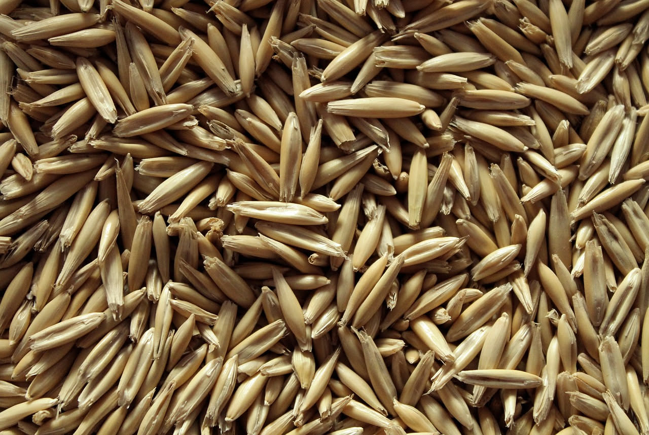 Orzo d'orzotto