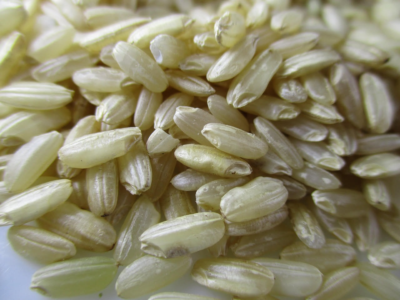 Orzotto d'orzo perlato
