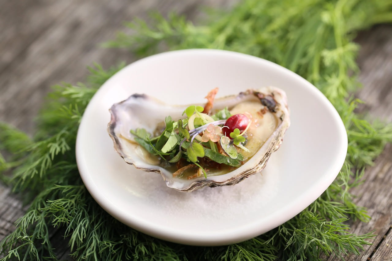 Ostriche conservate sott'olio
