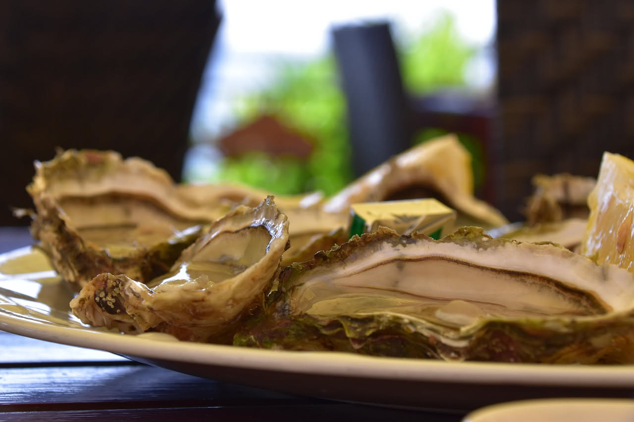 Ostriche gratinate: sapore marino intenso e croccantezza che nutre senza appesantire