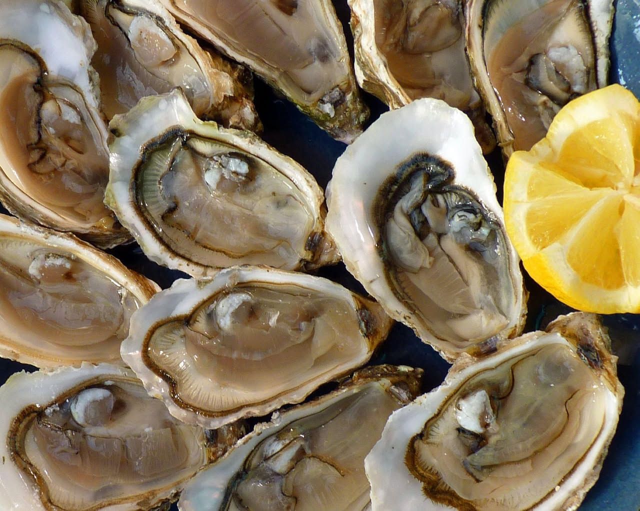 Sei ostriche aperte su un piatto di ghiaccio tritato, con limone tagliato a spicchi e una bottiglia di vino bianco sfuocato sullo sfondo
