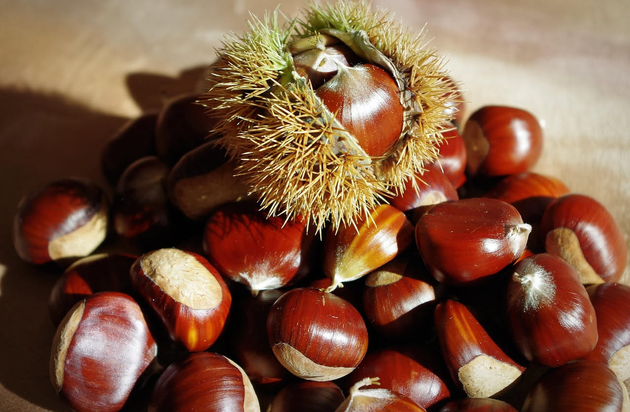 Pancastagna