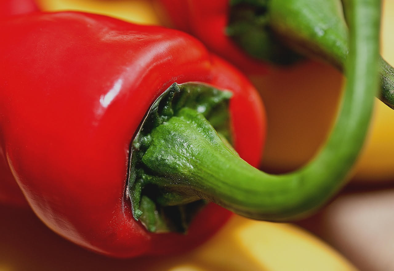 Papaccelle: peperoni dolci e succosi che nutrono la pelle con vitamina C