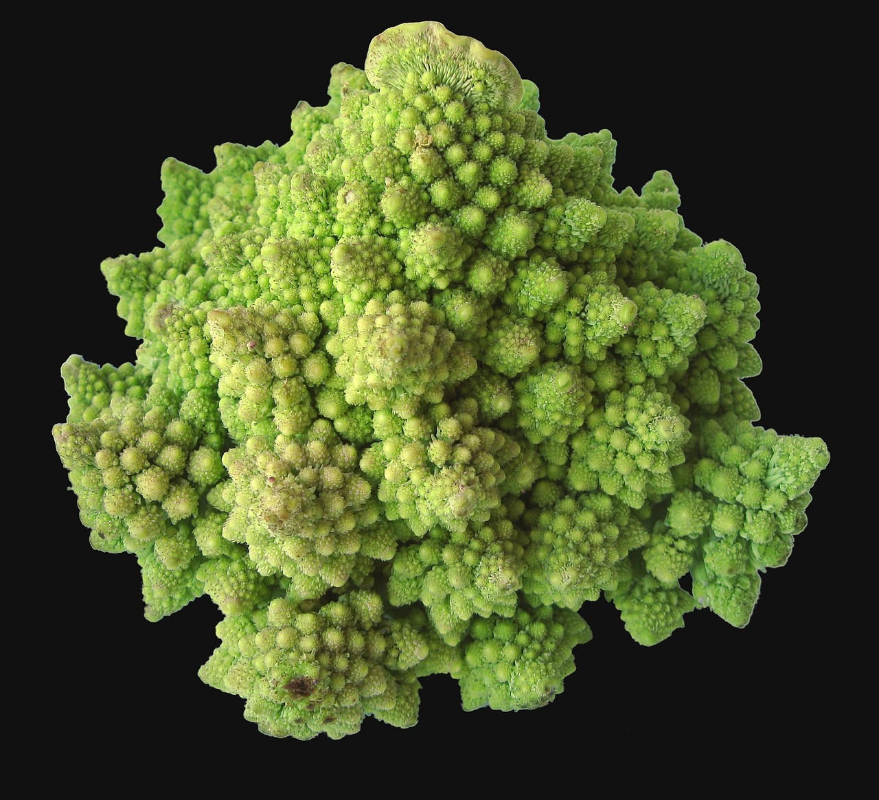 Pasta con le broccole romanesco