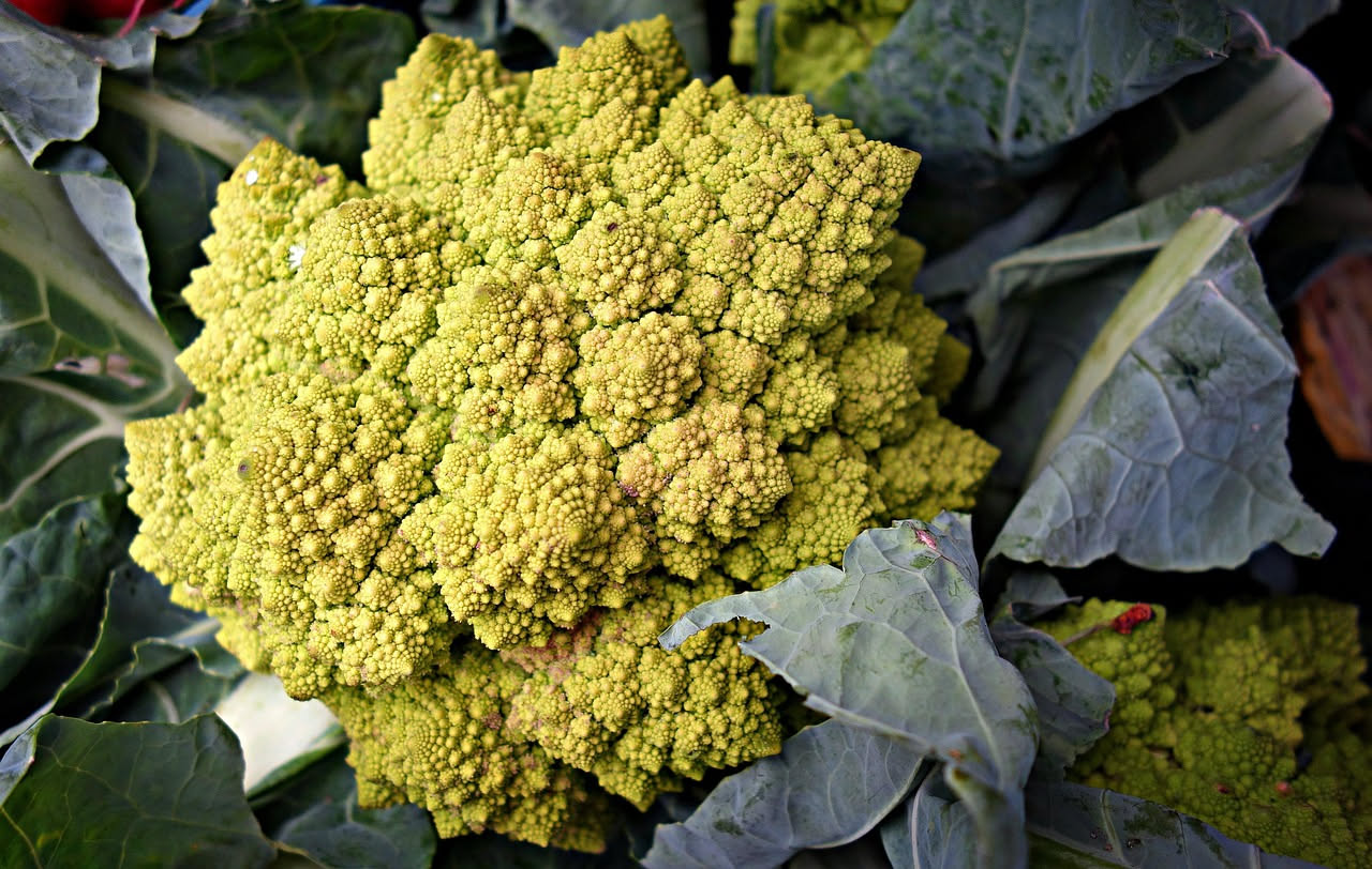 Un piatto fondo di pasta con broccoli di rapa verde scuro, spighe intere e florettini mescolati, conditi con olio dorato e peperoncino rosso, servito in una ciotola bianca