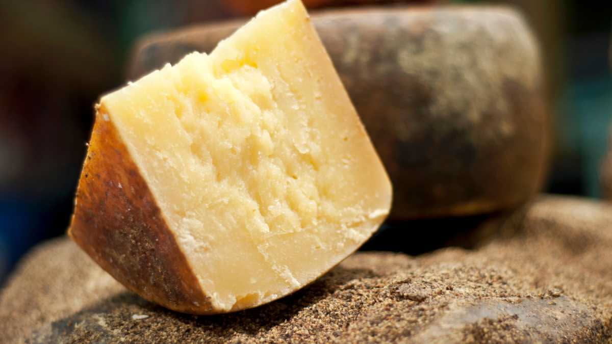 Pecorino toscano dorato al forno in una ciotola di terracotta, circondato da fette di pane tostato croccante e qualche noce intera sulla superficie