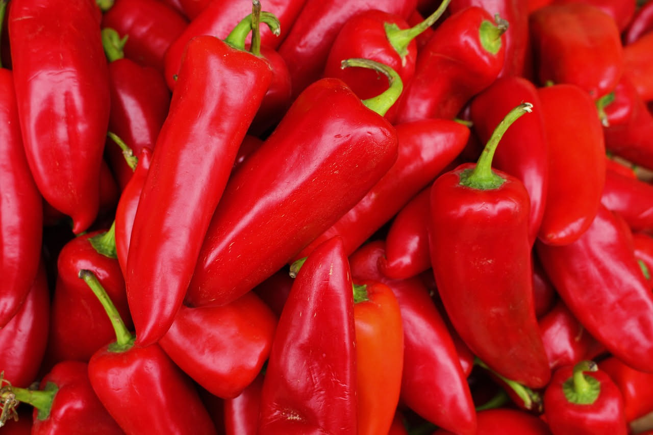 Peperoncini rossi sott'olio