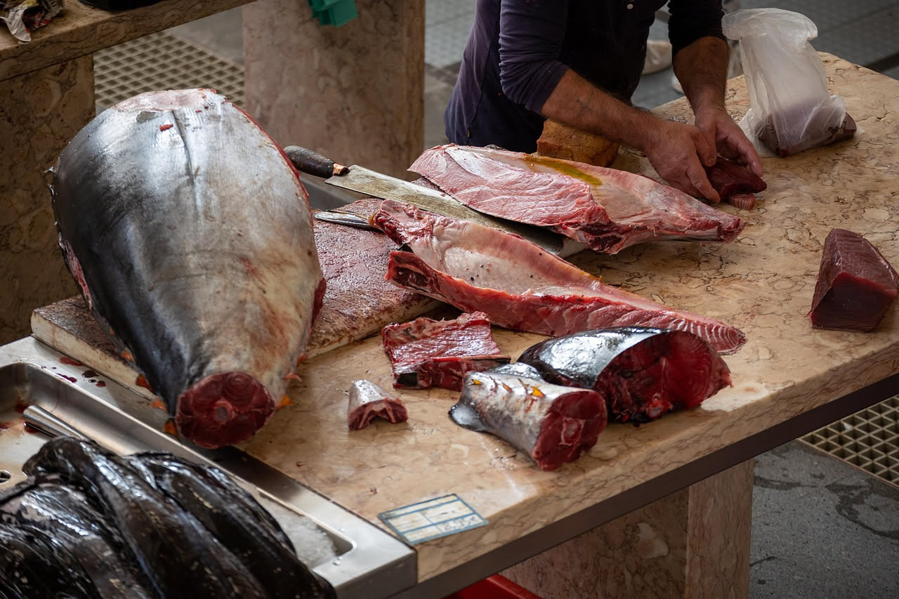 Piatto bianco con filetti di pesce salato dissalato e ammorbidito, affiancati da fette di pane tostato, prezzemolo fresco e gocce di olio di oliva