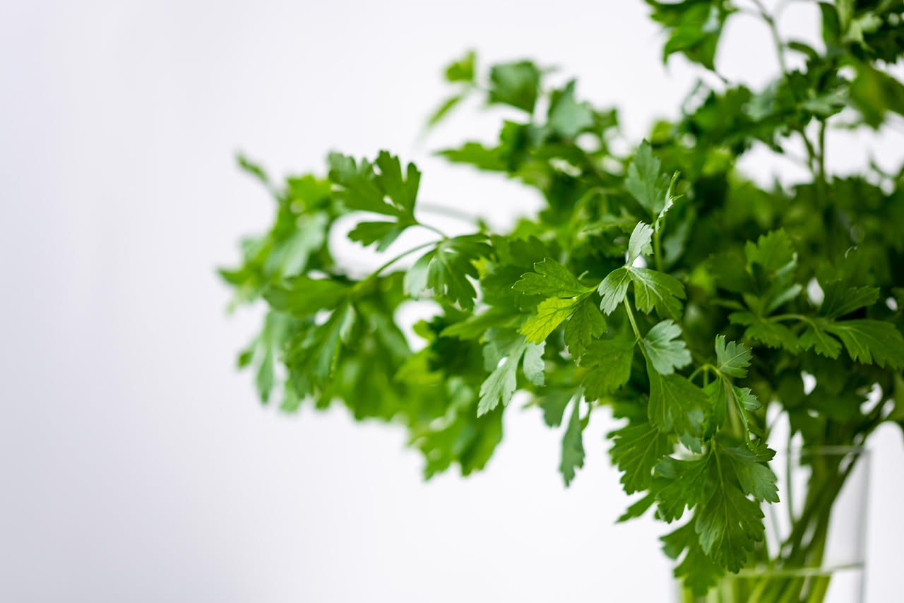 Pesto di prezzemolo