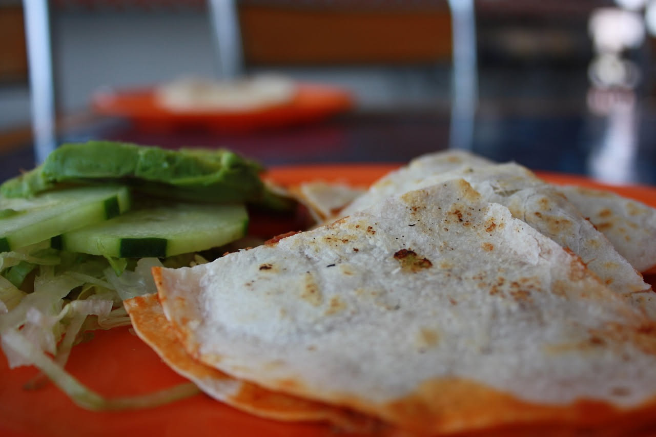 Piadina ripiena di formaggio