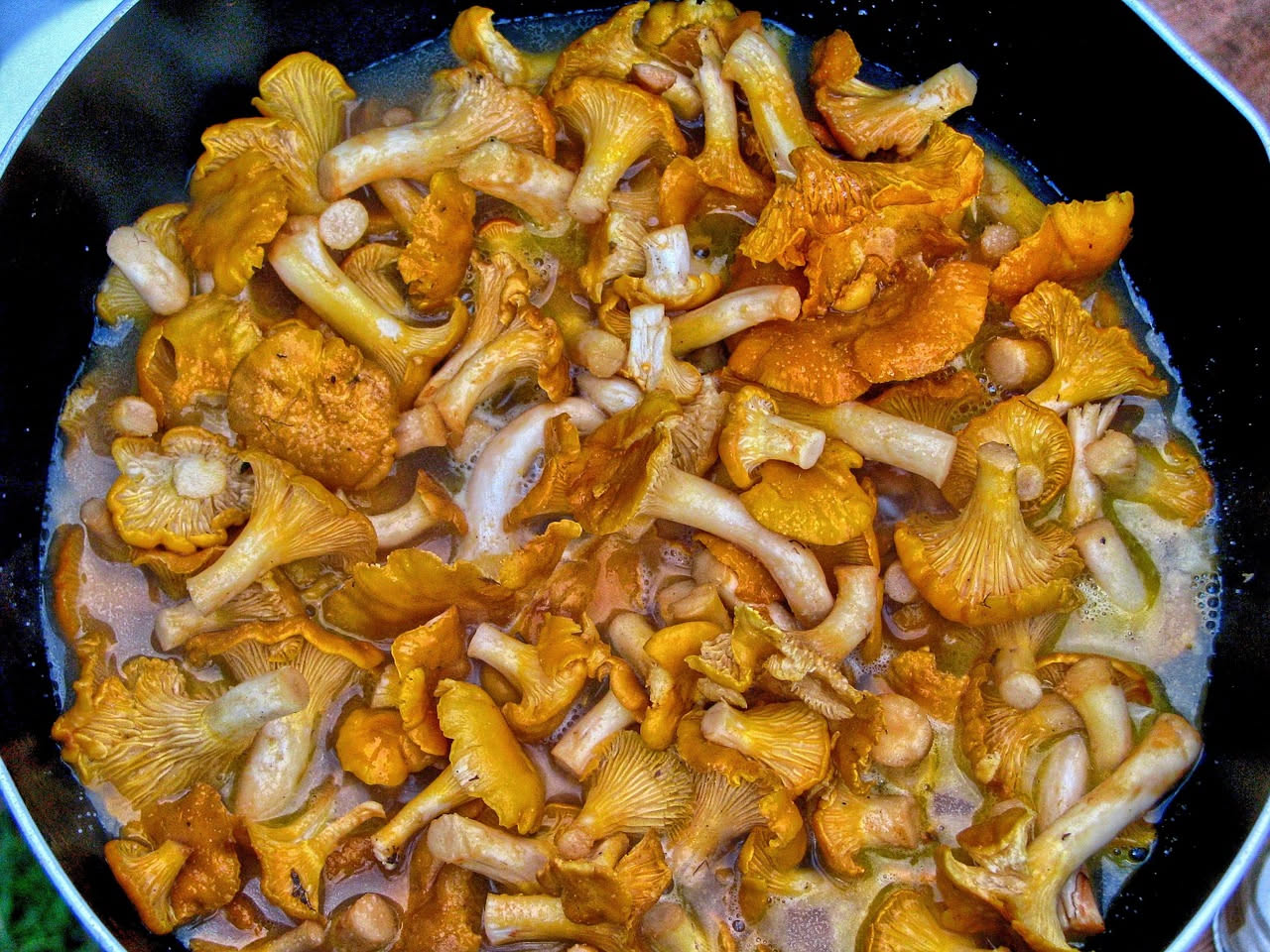 Polenta cremosa di color giallo dorato in un piatto bianco, condita con funghi rossicci in umido, pepe nero macinato e un filo di olio d'oliva in superficie