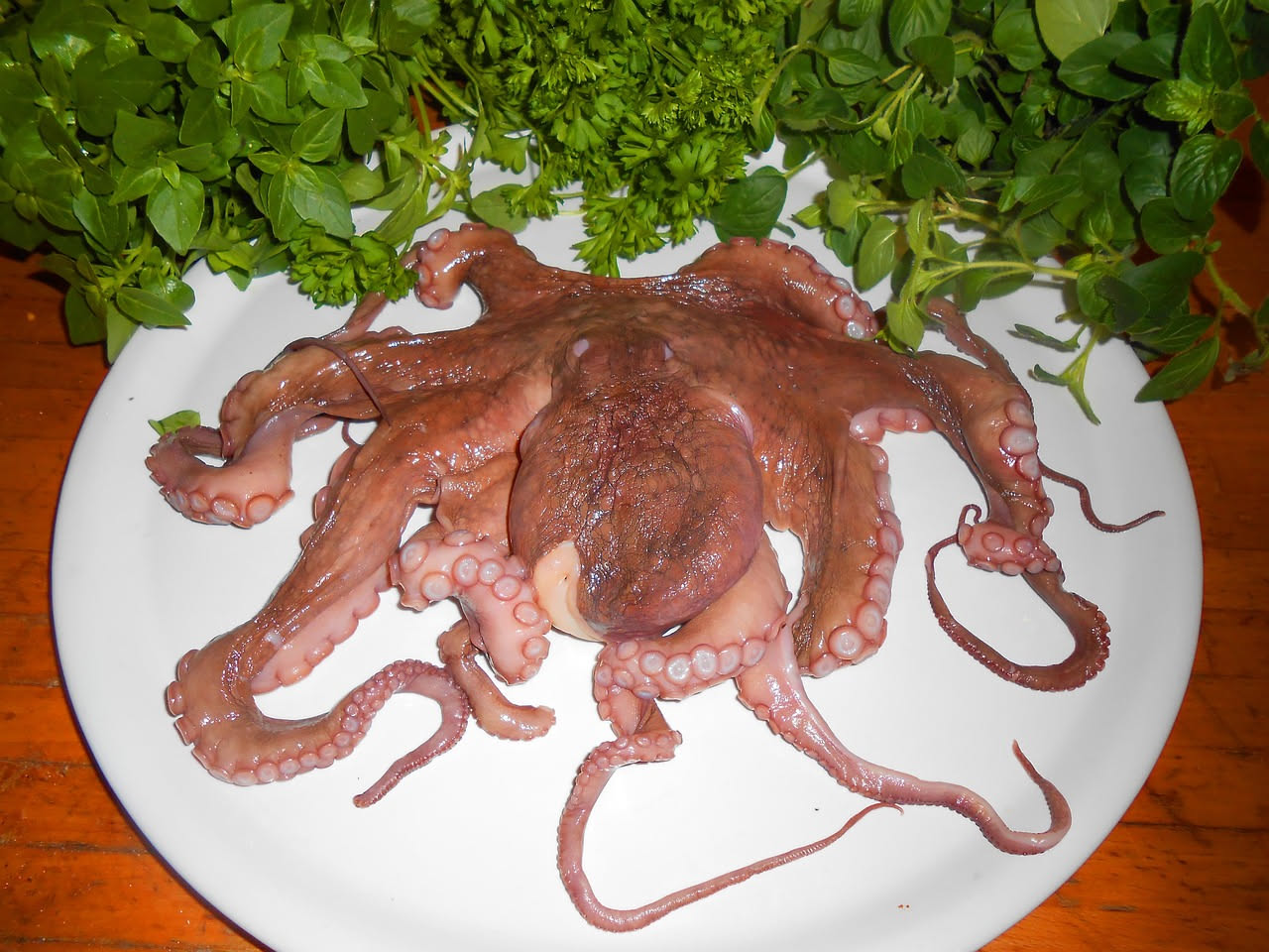 Polpo a pezzi rosso e tenero in salsa di pomodoro scuro con olive nere sparse in un piatto bianco, aglio e prezzemolo fresco visibili