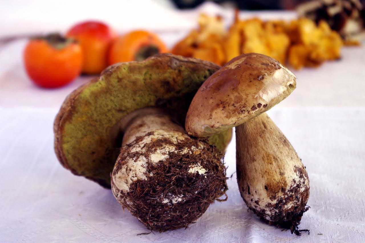Porcini grigliati: umami intenso e leggerezza che nutre senza affaticare