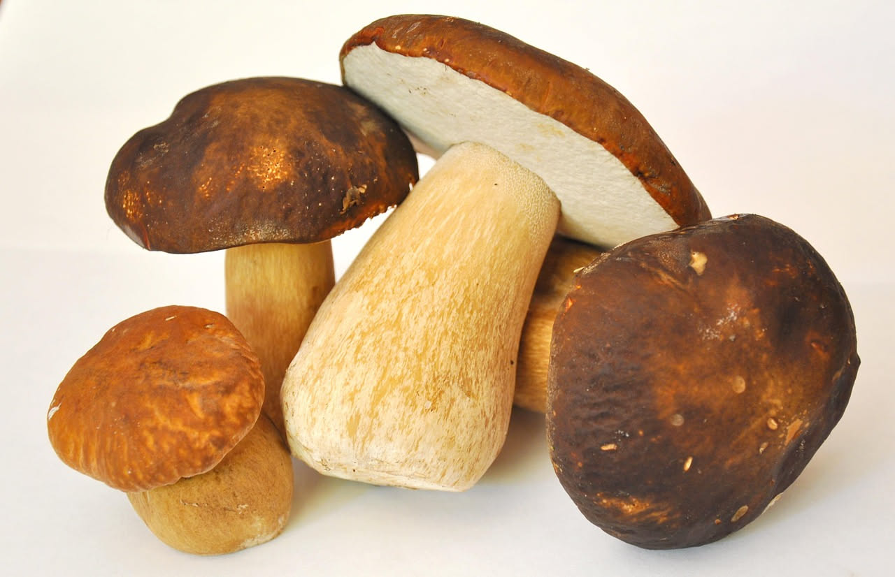 Vasetto di vetro con porcini interi sott'olio dorato, funghi marroni scuri sommersi in olio trasparente, con aglio e peperoncino rosso visibile tra i pezzi, sfondo bianco
