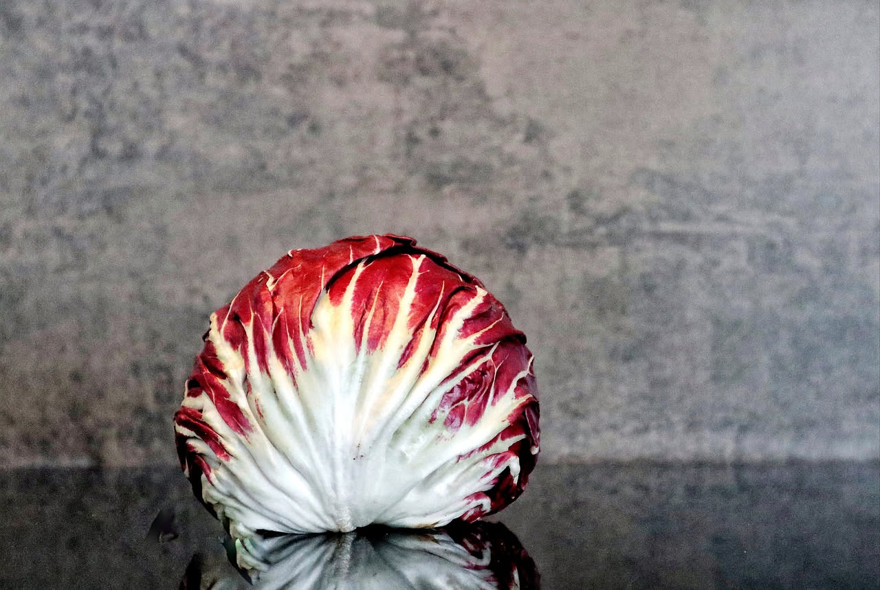 Radicchio di Treviso tagliato a spicchi, leggermente rosso scuro con venature bianche, disposto in una padella di ferro con olio e aglio, appena imbiondito