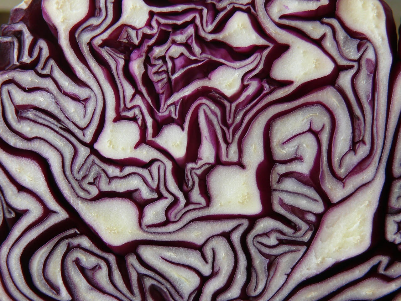 Radicchio rosso tagliato a spicchi dorato e caramellato in una padella di ferro, con aglio e olio d'oliva, foglie croccanti ai bordi leggermente annerite