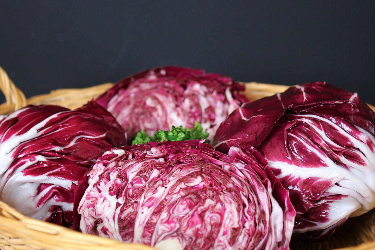Radicchio rosso di Treviso grigliato su un piatto bianco, spicchi caramellati di colore rosso scuro con striature dorate, foglie leggermente riarse ai bordi, condito con gocce di olio d'oliva e sale g