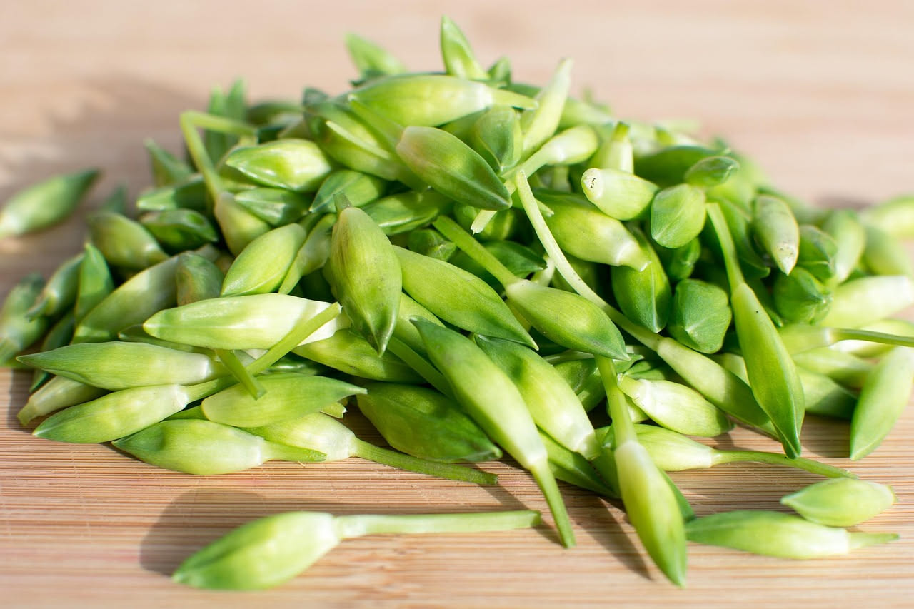Radici di barba di becco cotte