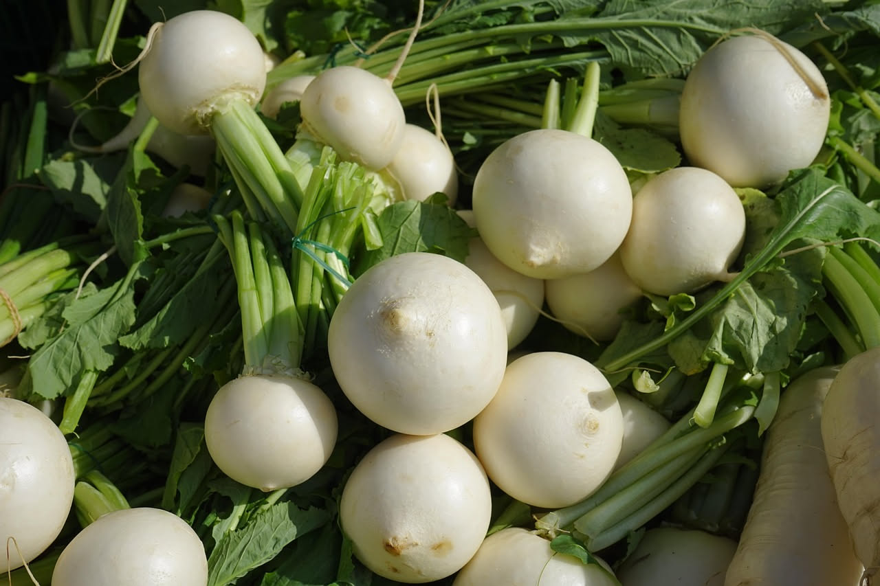 Rapa bianca ripassata