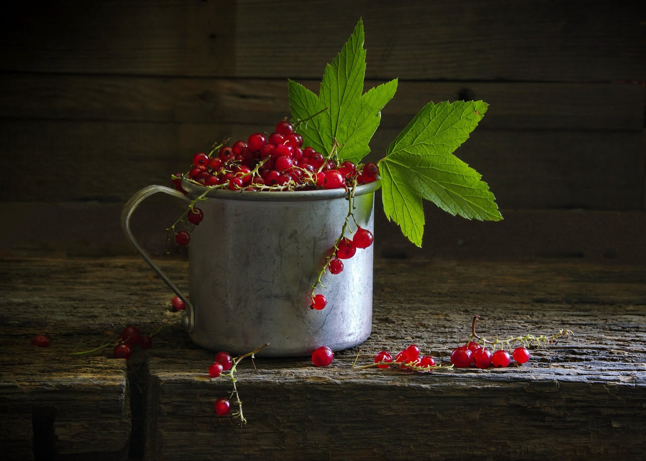 Ribes in sciroppo